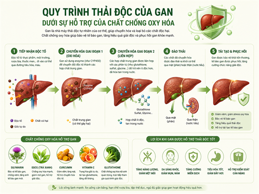 Huong dan pha 3 loai tra giup 