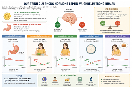 Tại sao việc Tai sao viec