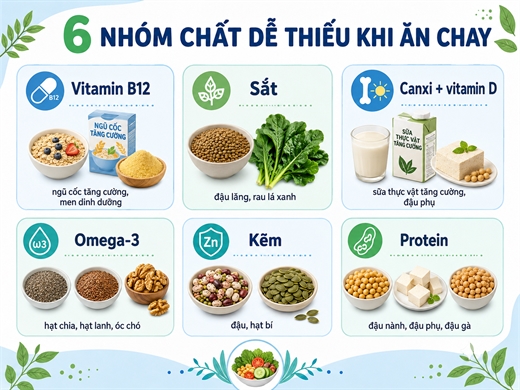 Ăn chay lành mạnh cần chú ý 6 nhóm chất dễ thiếu trong bữa ăn hằng ngày An chay lanh manh can chu y 6 nhom chat de thieu trong bua an hang ngay