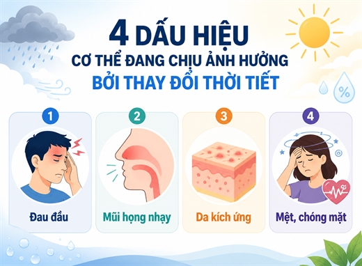 4 dau hieu cho thay co the dang bat on voi nhip thoi tiet hien tai