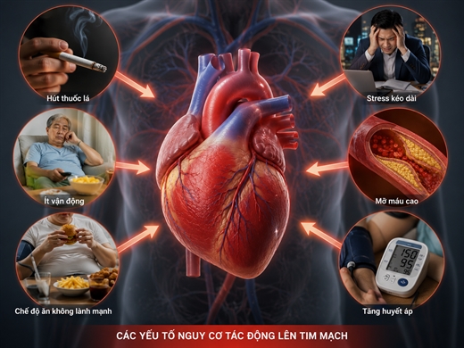 Nhoi mau co tim xay ra o ca nguoi tre 5 nhom nguoi co nguy co cao nhat