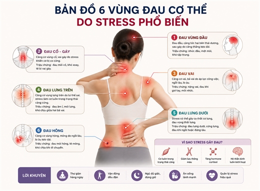 6 vung dau co the thuong gap khi stress keo dai ma nhieu nguoi chi di xoa bop